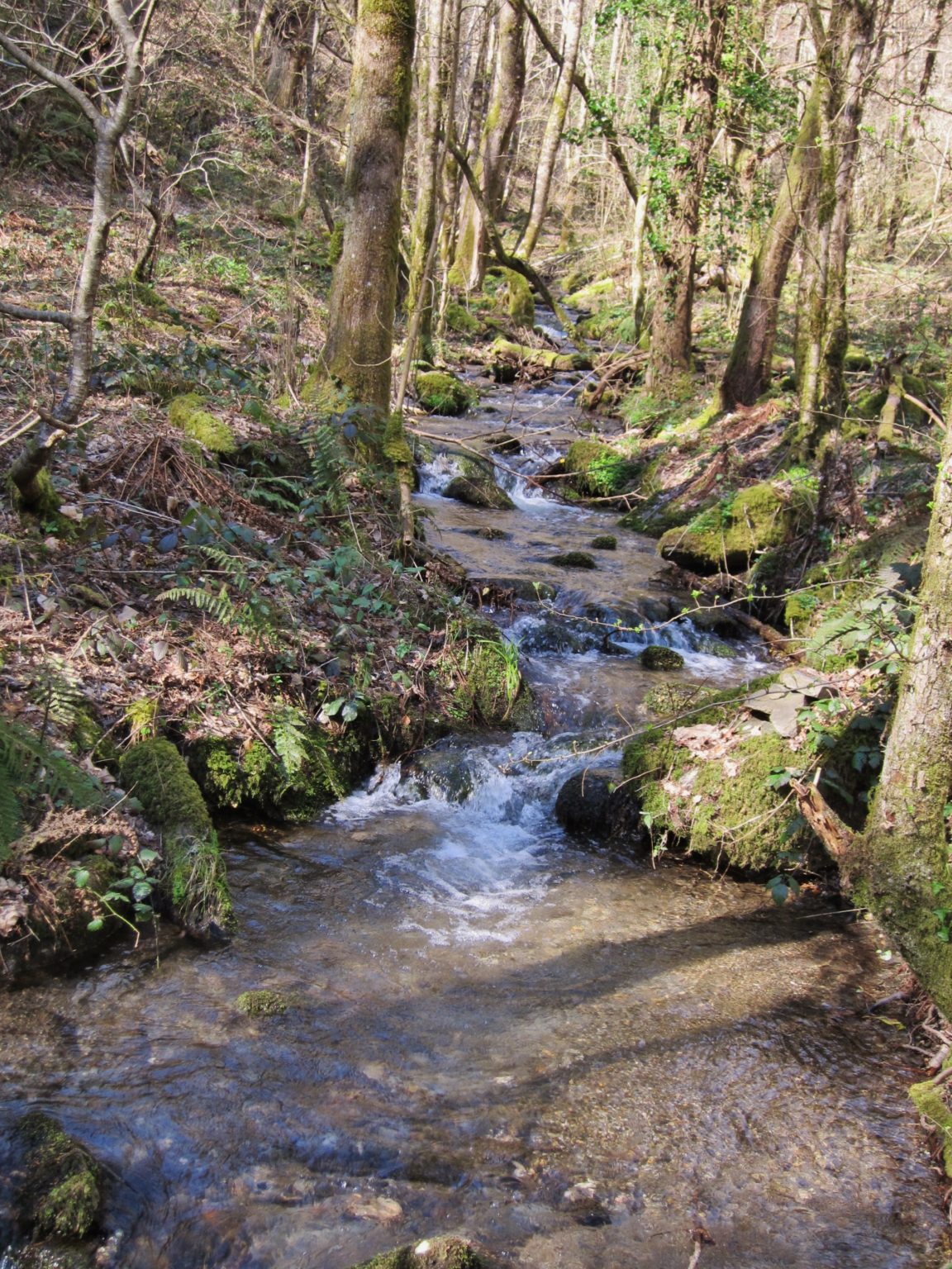 Suivi de la qualité du ruisseau de la Réserve LPO Aveyron