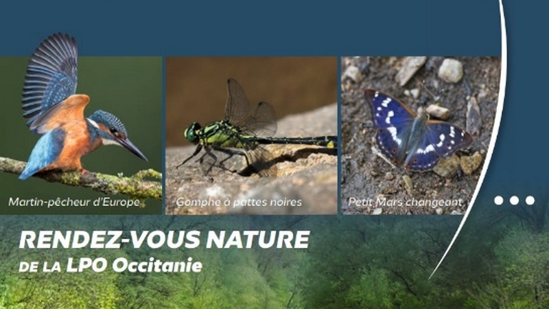 L’agenda des sorties nature du 2ème semestre 2025 – Aveyron / Lozère