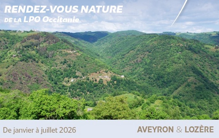 L’agenda des sorties nature du 1er semestre 2026 – Aveyron / Lozère