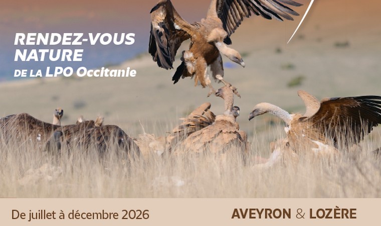 Parcourez le nouvel agenda juillet-décembre 2026
